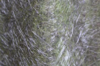 Bridge Of Cally fibreglass roof work